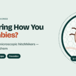 Wondering How to U Get Scabies? the Truth about Microscopic Hitchhikers and How to Stop Them