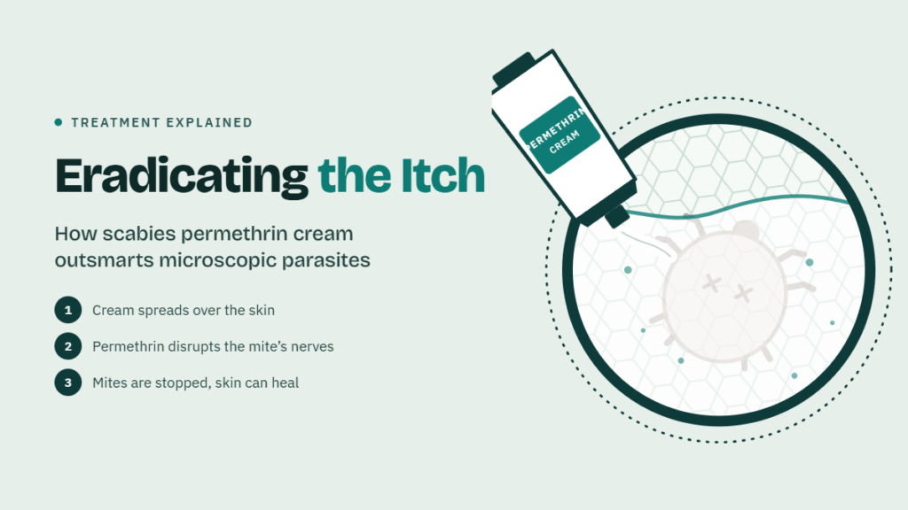 Eradicating the Itch: How Scabies Permethrin Cream Outsmarts Microscopic Parasites